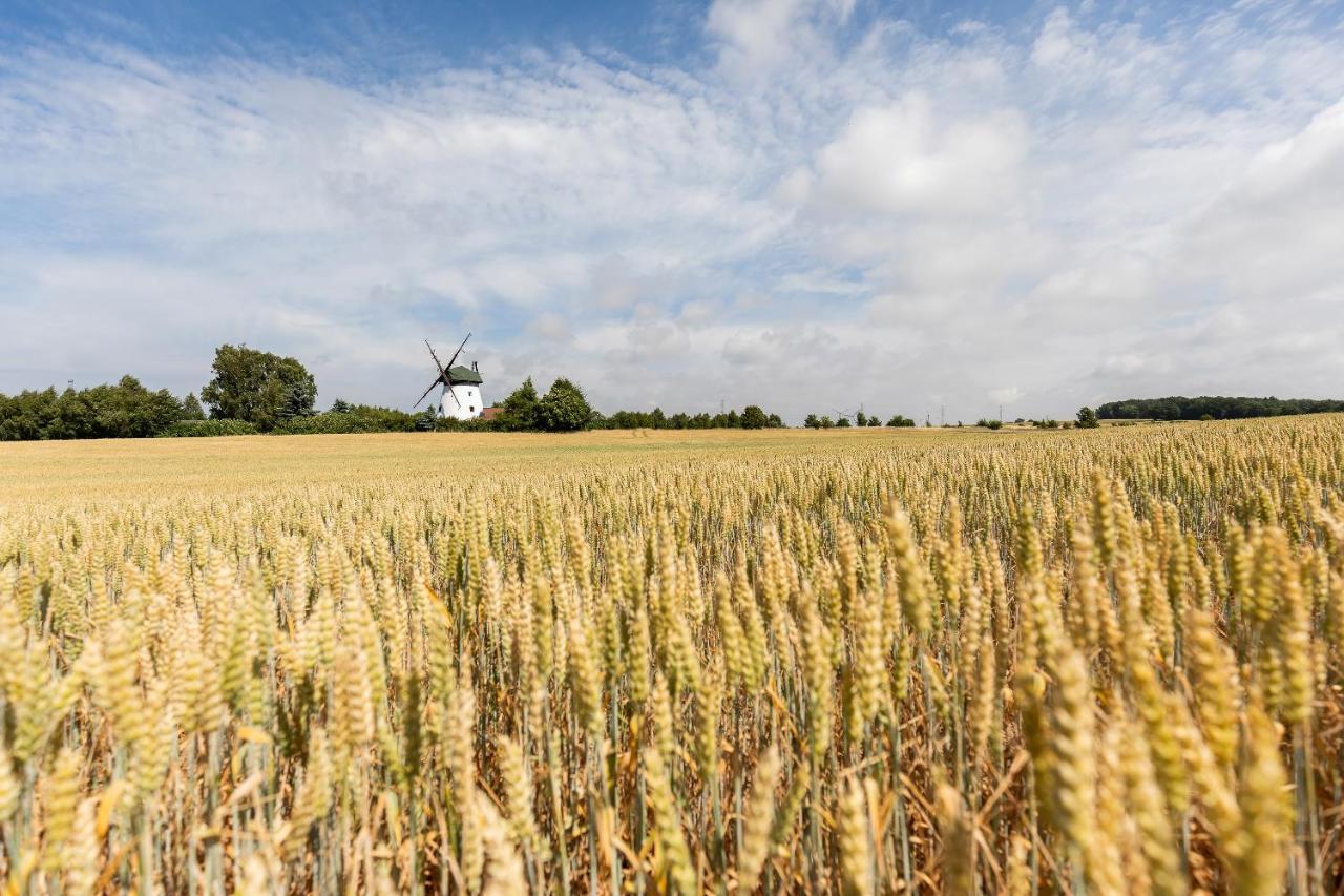 Windmill Vacation Home In Ledzin Near Baltic Sea 니에초르체 외부 사진