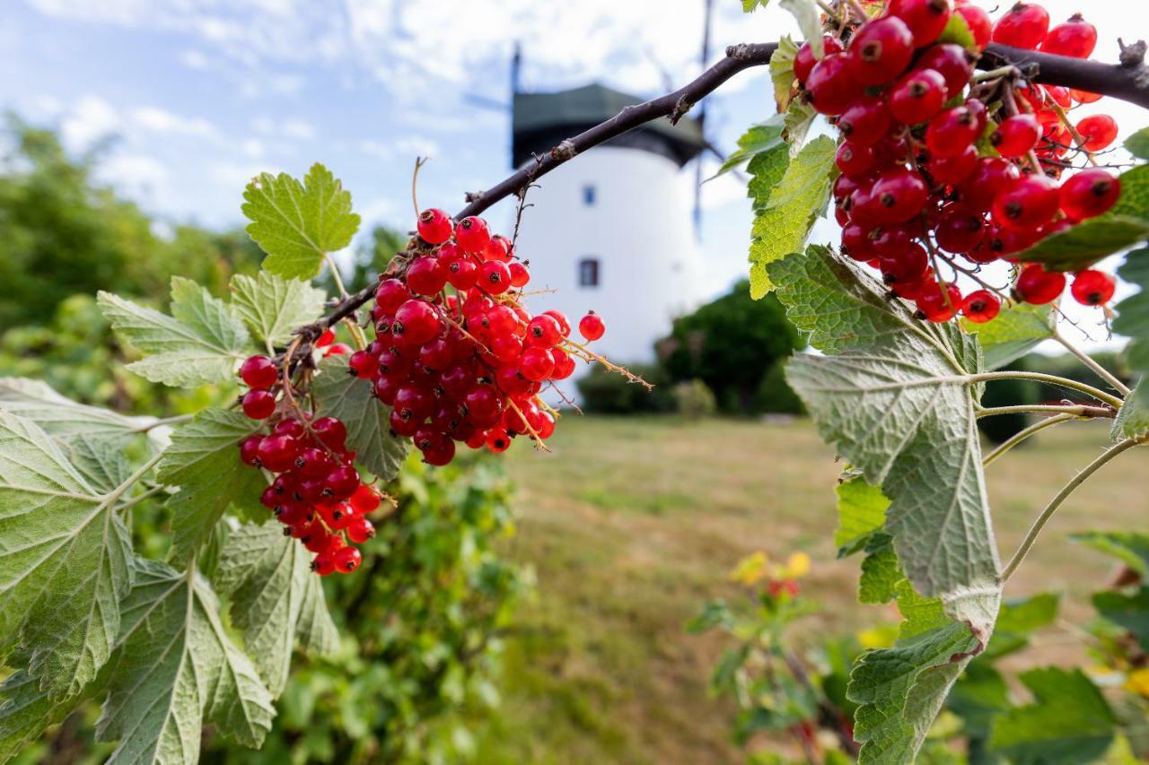 Windmill Vacation Home In Ledzin Near Baltic Sea 니에초르체 외부 사진