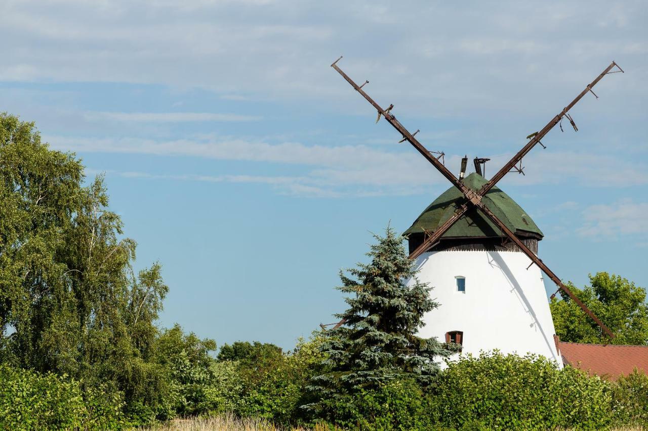 Windmill Vacation Home In Ledzin Near Baltic Sea 니에초르체 외부 사진