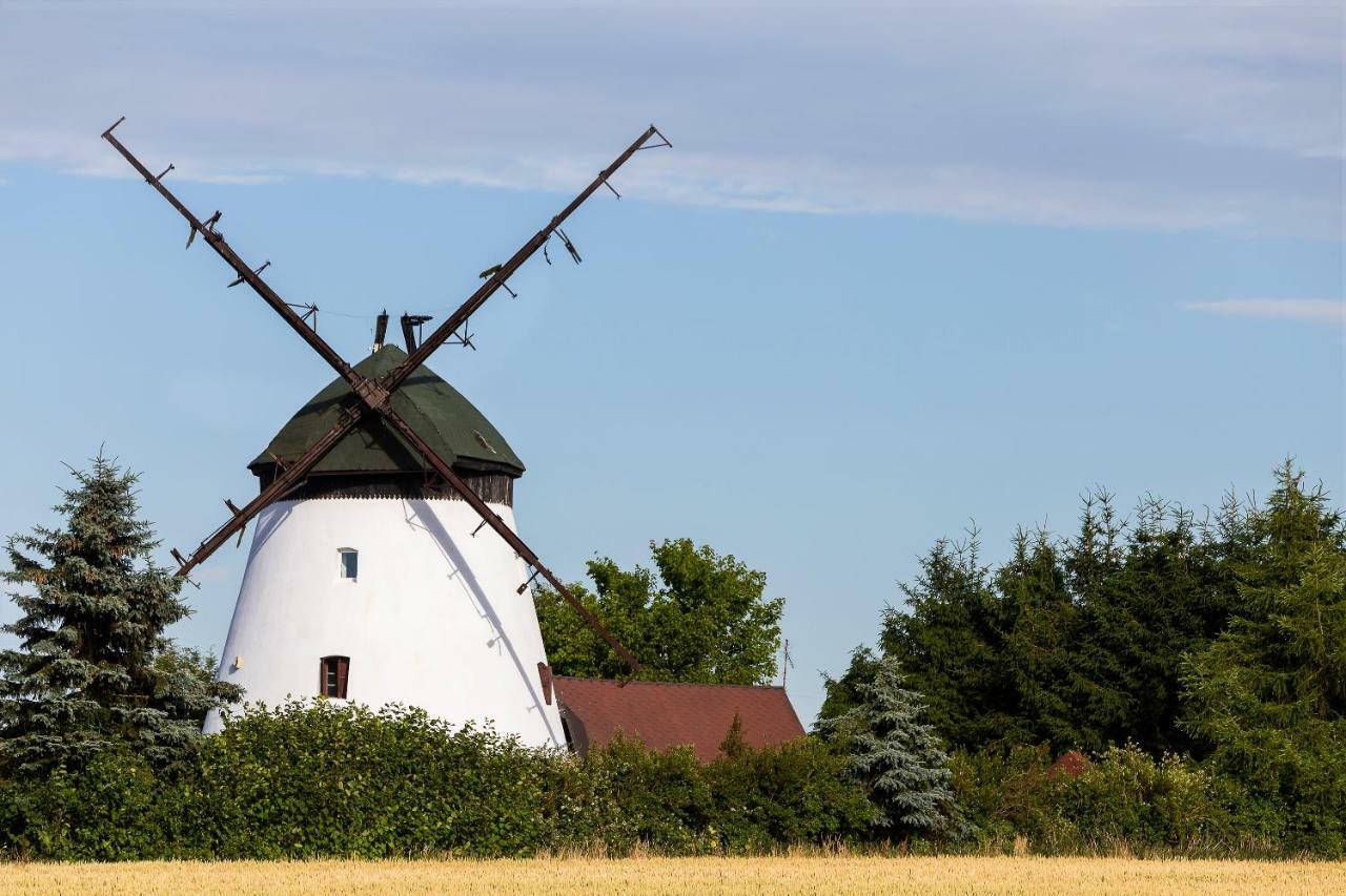 Windmill Vacation Home In Ledzin Near Baltic Sea 니에초르체 외부 사진