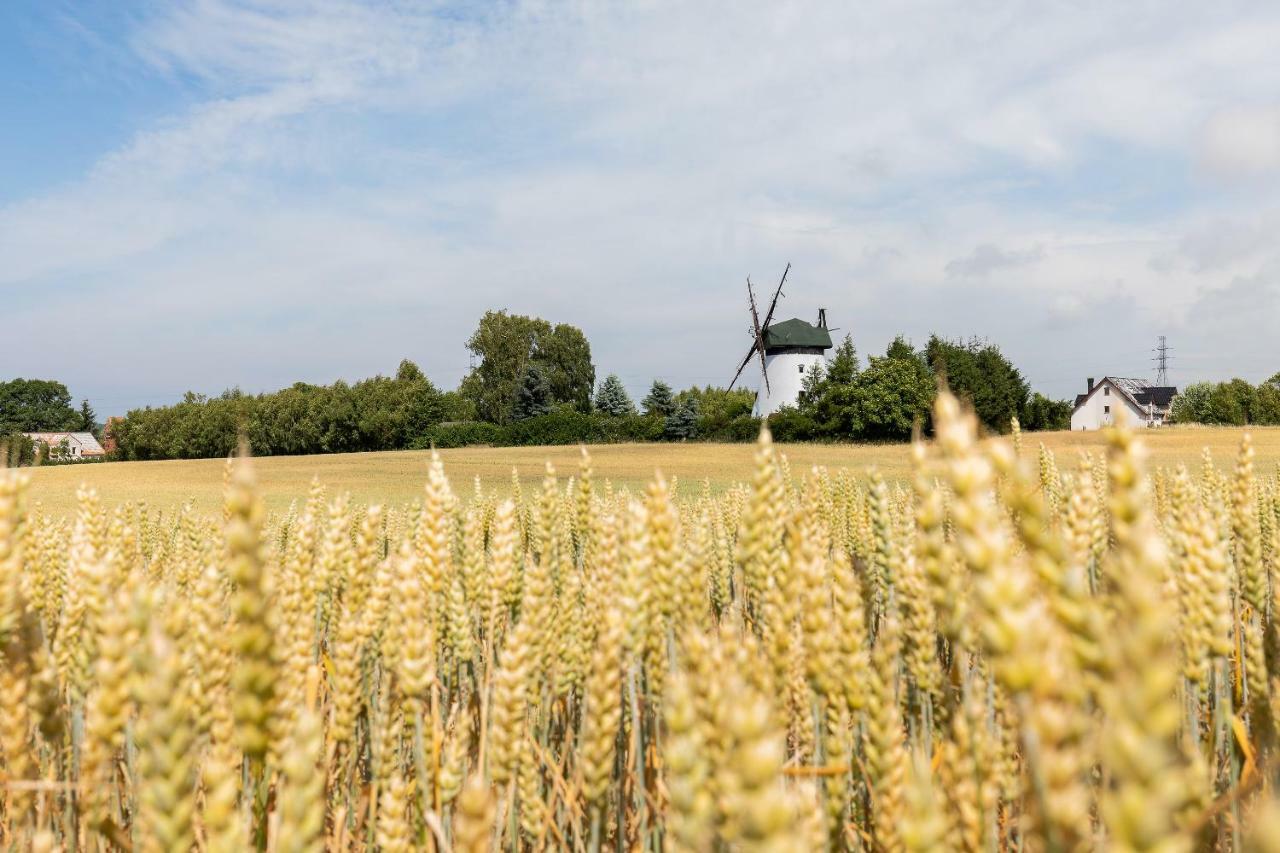 Windmill Vacation Home In Ledzin Near Baltic Sea 니에초르체 외부 사진
