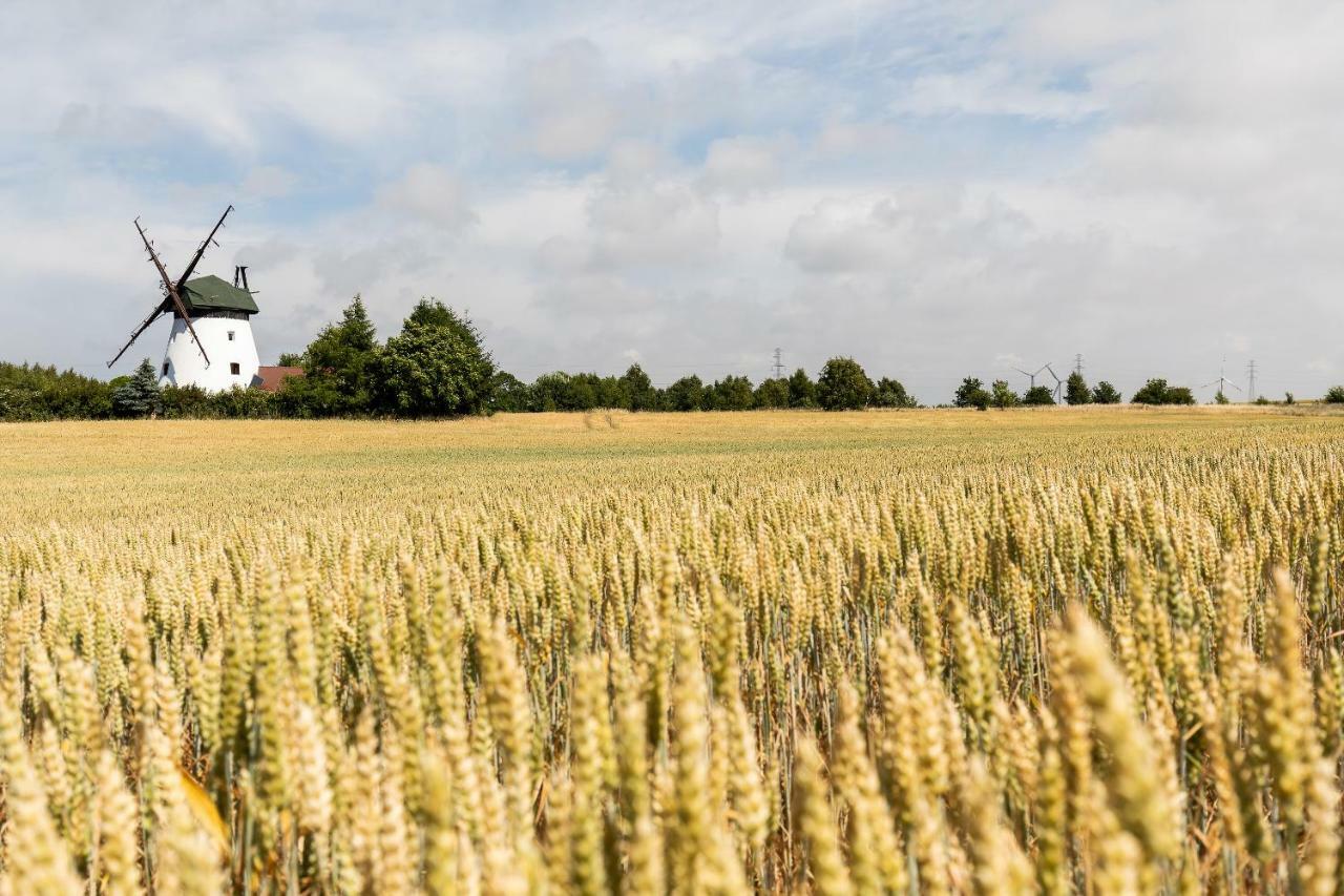 Windmill Vacation Home In Ledzin Near Baltic Sea 니에초르체 외부 사진